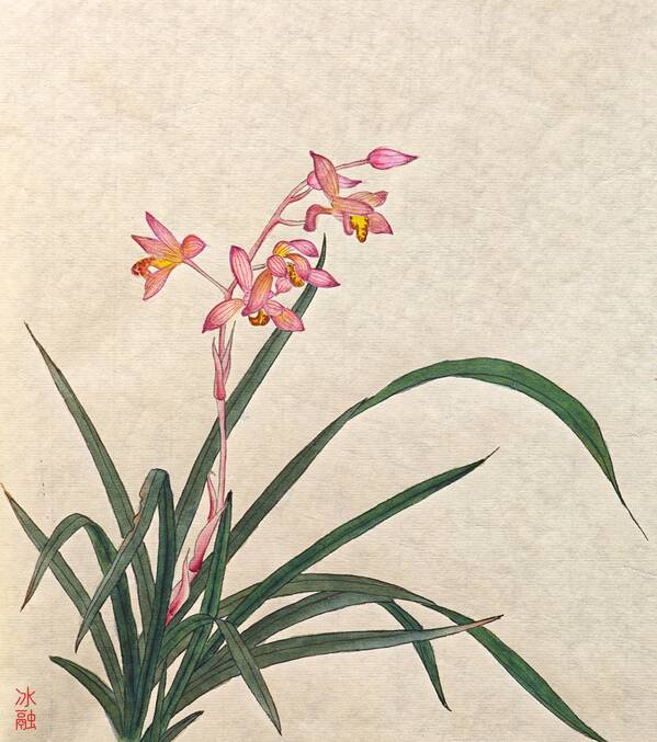 兰香 林瑞英.jpg